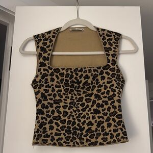 Zara Brown and Tan Fitted Bustier Tank Top